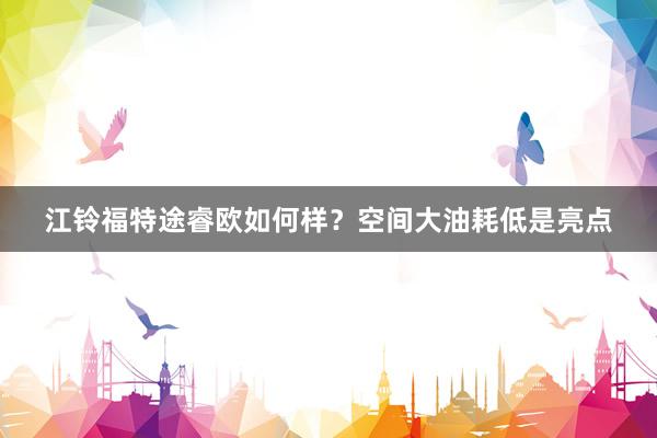 江铃福特途睿欧如何样？空间大油耗低是亮点