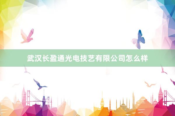 武汉长盈通光电技艺有限公司怎么样