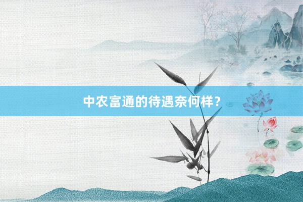 中农富通的待遇奈何样？