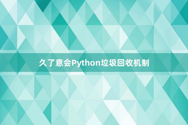 久了意会Python垃圾回收机制
