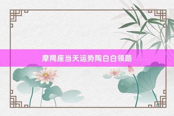 摩羯座当天运势陶白白领路