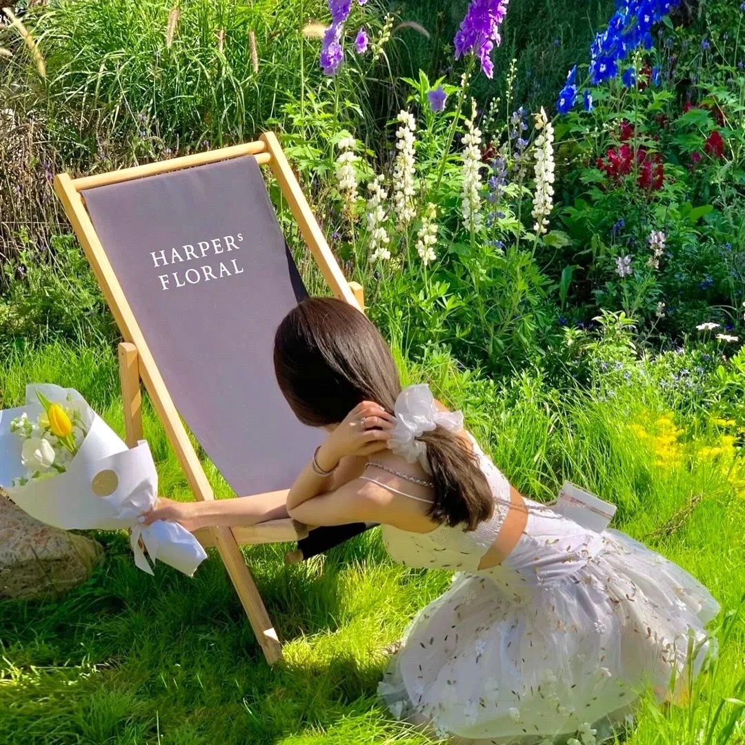 摇啊笑啊桥第二季